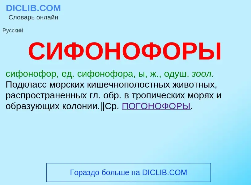 Wat is СИФОНОФОРЫ - definition