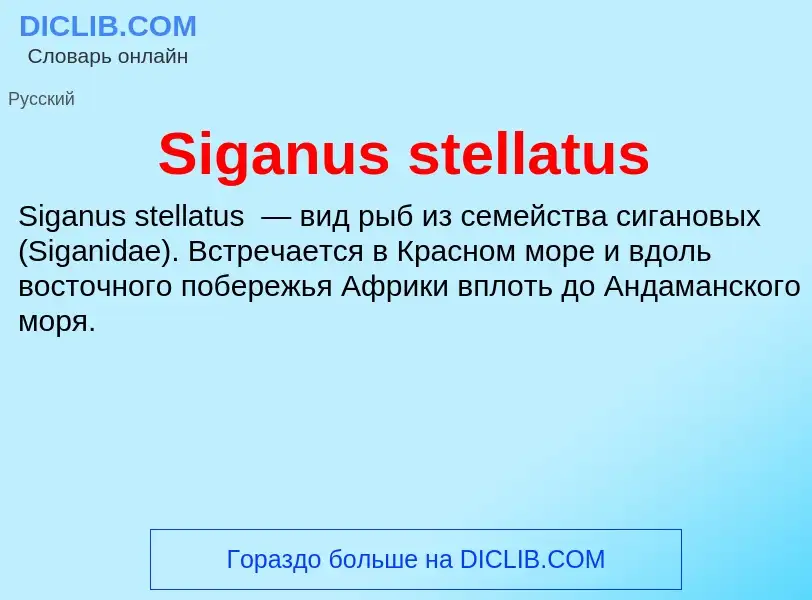 Che cos'è Siganus stellatus - definizione