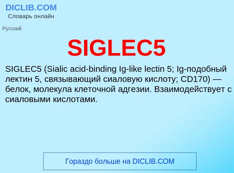 Что такое SIGLEC5 - определение