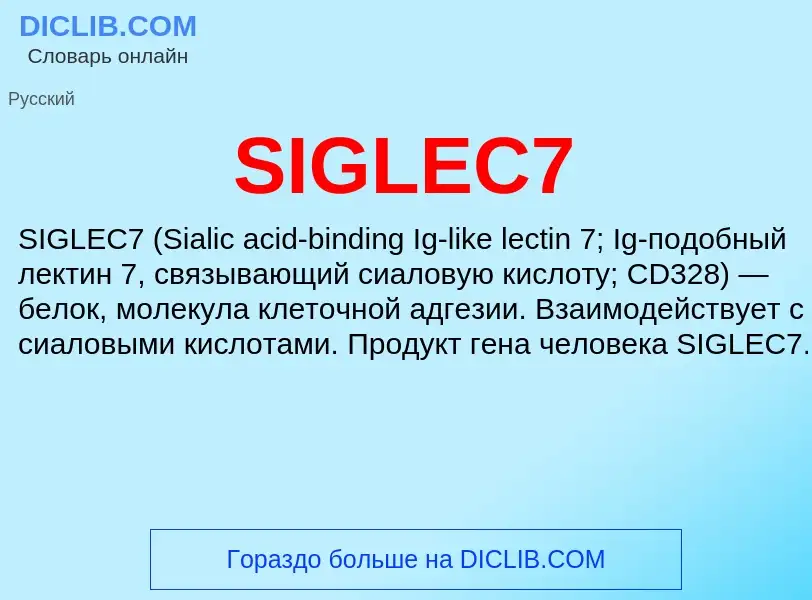 Что такое SIGLEC7 - определение