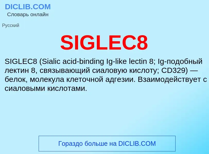 Что такое SIGLEC8 - определение