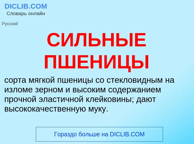 What is СИЛЬНЫЕ ПШЕНИЦЫ - definition