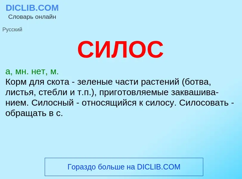 Wat is СИЛОС - definition