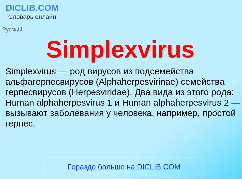 Che cos'è Simplexvirus - definizione