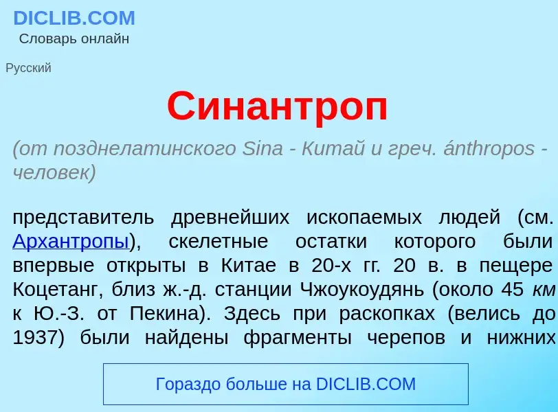 What is Син<font color="red">а</font>нтроп - meaning and definition