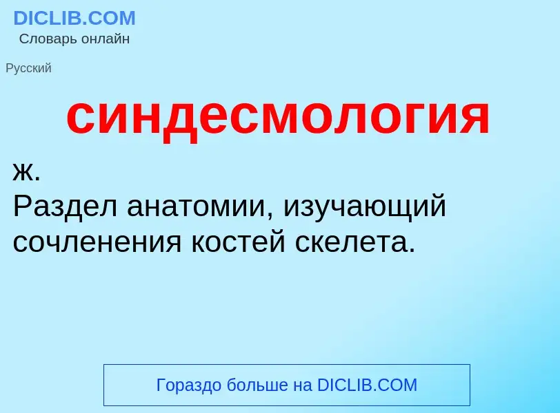 What is синдесмология - definition