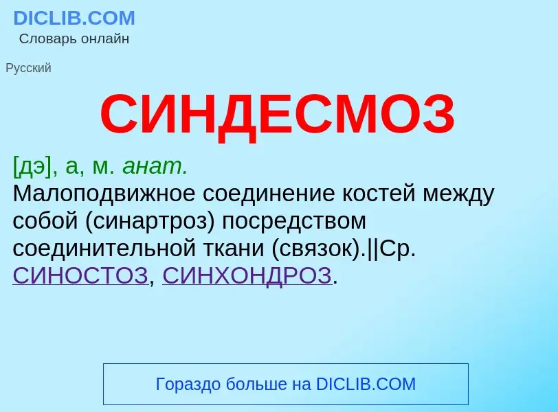 Что такое СИНДЕСМОЗ - определение