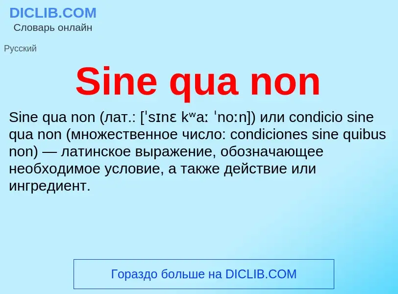 Che cos'è Sine qua non - definizione