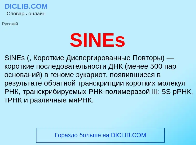 Что такое SINEs - определение