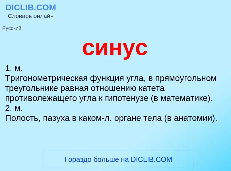 Wat is синус - definition