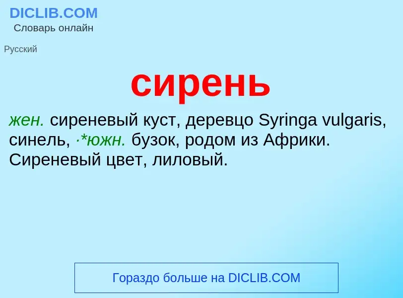 O que é сирень - definição, significado, conceito