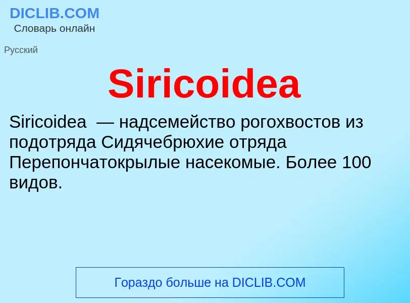 Che cos'è Siricoidea - definizione