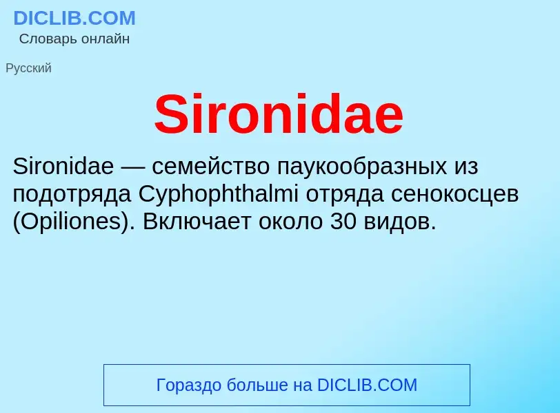 Che cos'è Sironidae - definizione