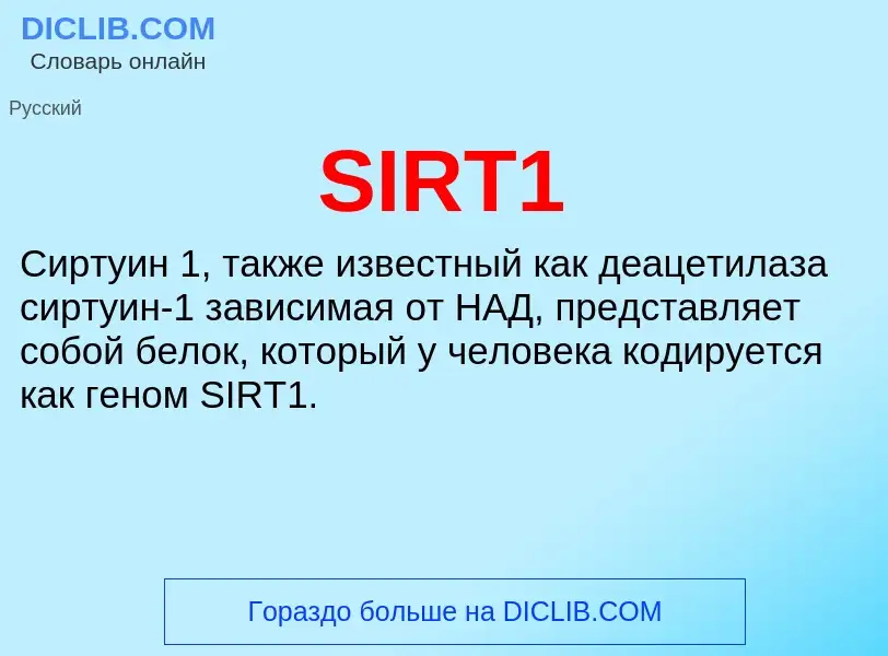 Что такое SIRT1 - определение