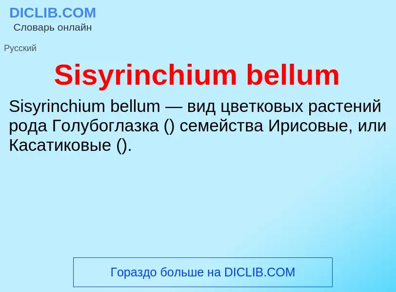 Che cos'è Sisyrinchium bellum - definizione