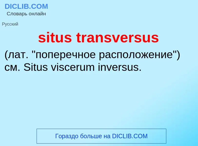 Что такое situs transversus  - определение