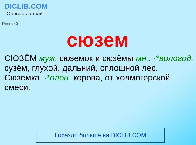 What is сюзем - definition