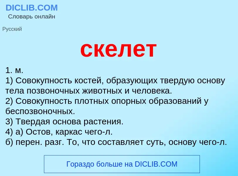 What is скелет - meaning and definition