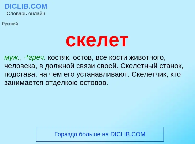 What is скелет - definition