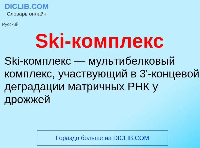 Che cos'è Ski-комплекс - definizione