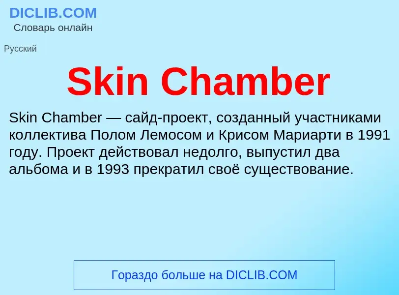 Che cos'è Skin Chamber - definizione