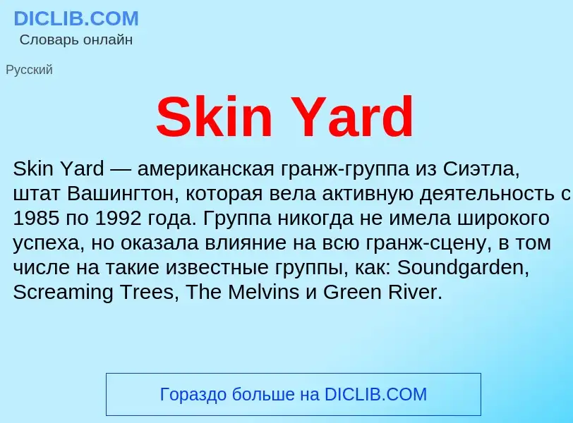 Wat is Skin Yard - definition