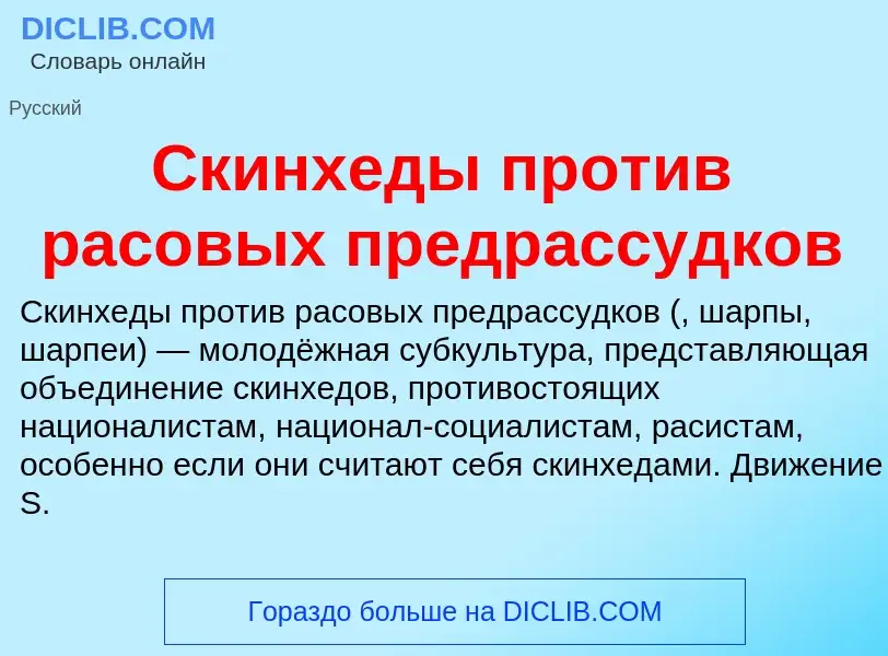 Что такое Скинхеды против расовых предрассудков - определение