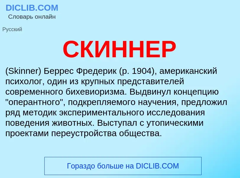 Was ist СКИННЕР - Definition