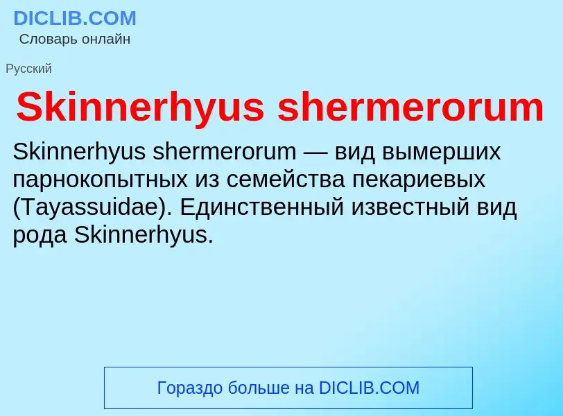 Che cos'è Skinnerhyus shermerorum - definizione