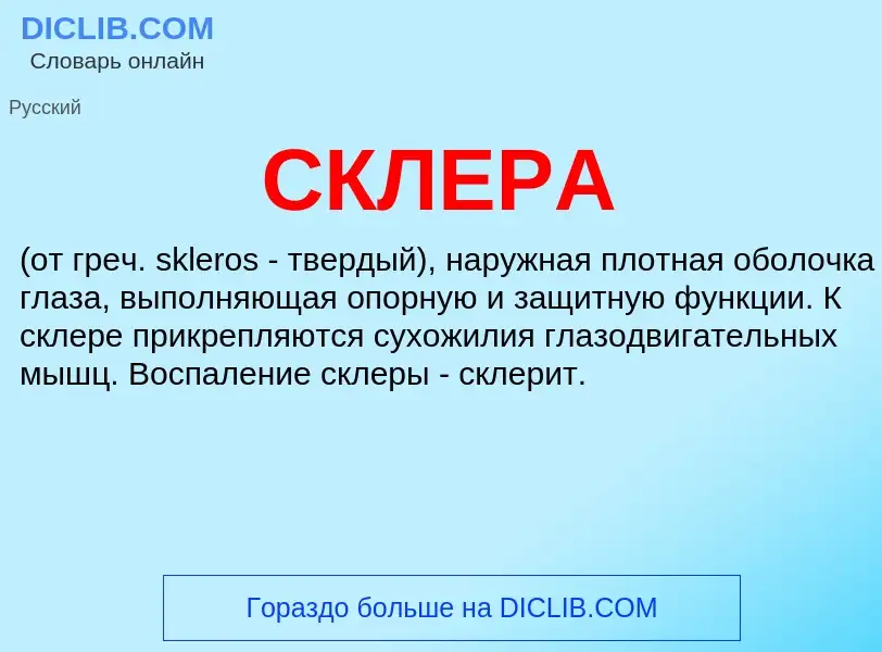 Wat is СКЛЕРА - definition