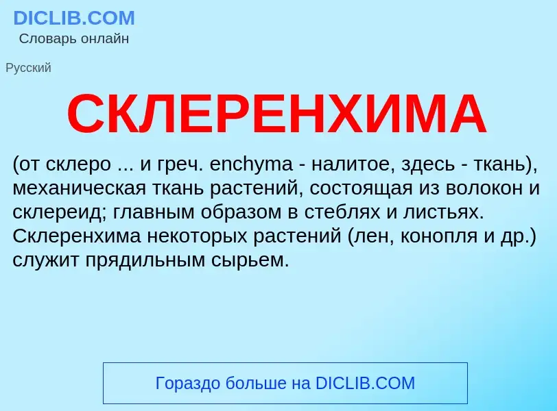 What is СКЛЕРЕНХИМА - meaning and definition