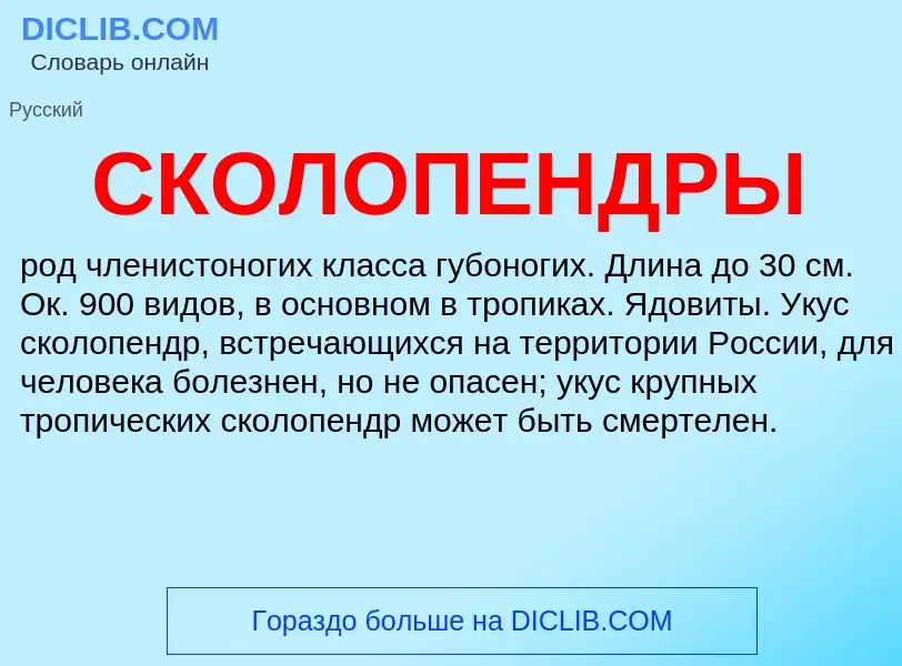 What is СКОЛОПЕНДРЫ - definition