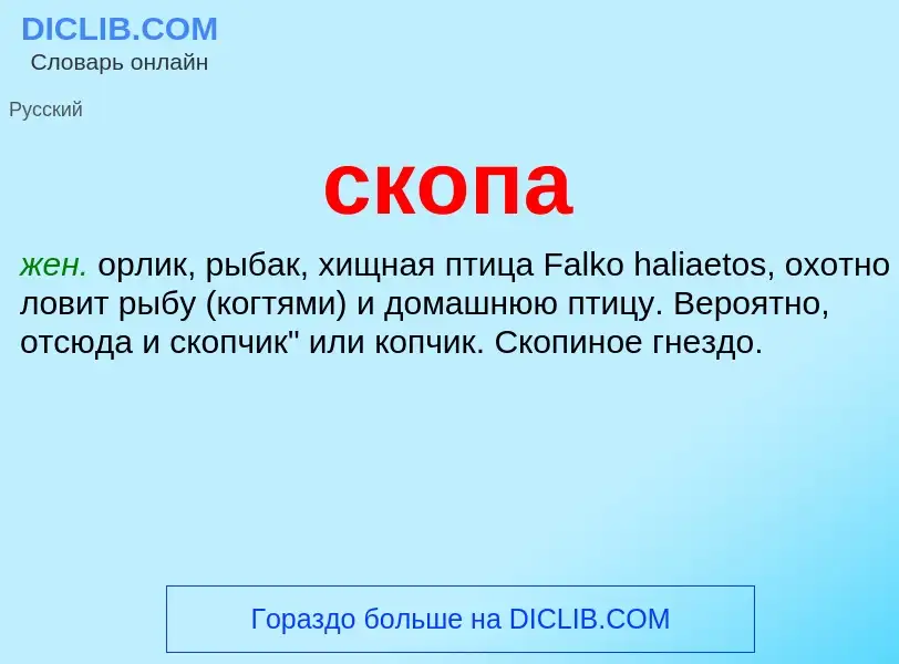 Was ist скопа - Definition