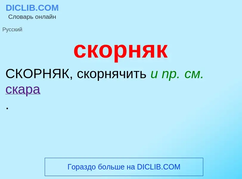 Wat is скорняк - definition