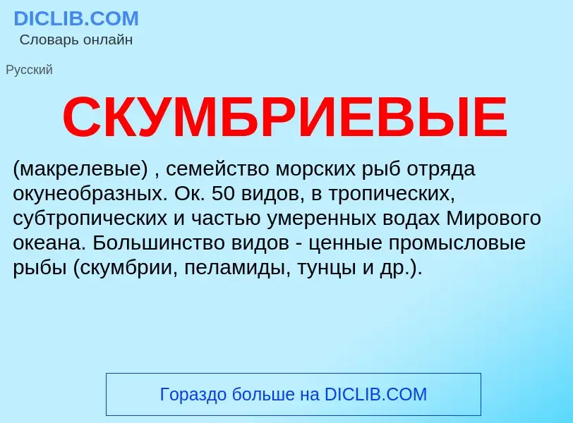 Was ist СКУМБРИЕВЫЕ - Definition