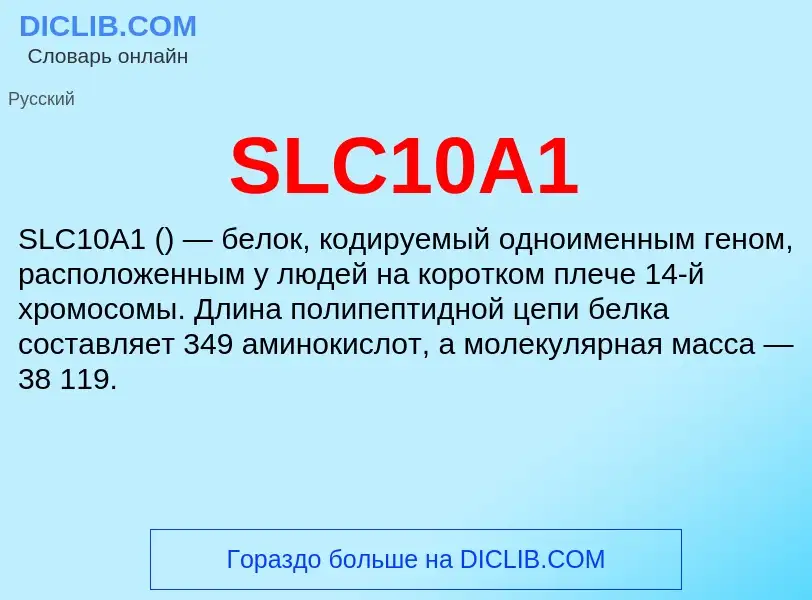 Что такое SLC10A1 - определение