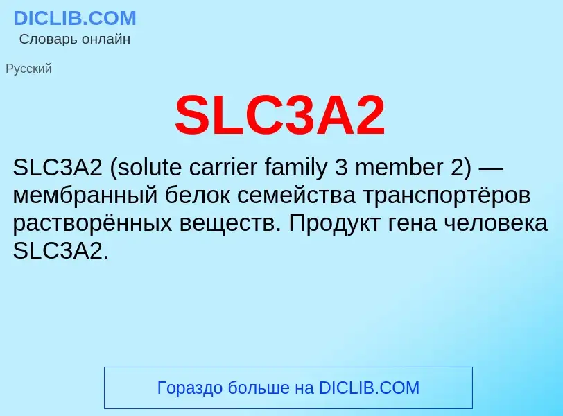 Что такое SLC3A2 - определение