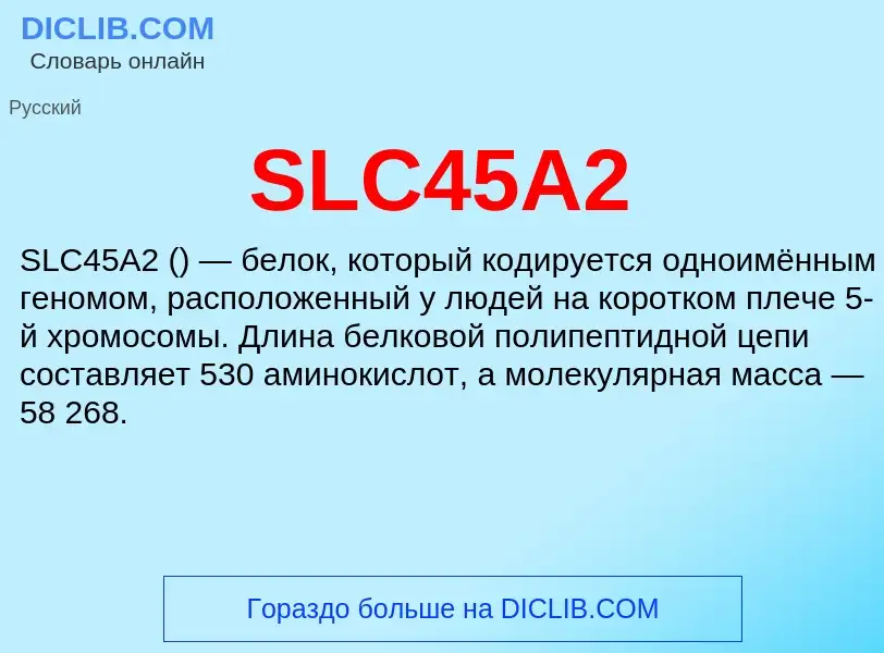 Что такое SLC45A2 - определение