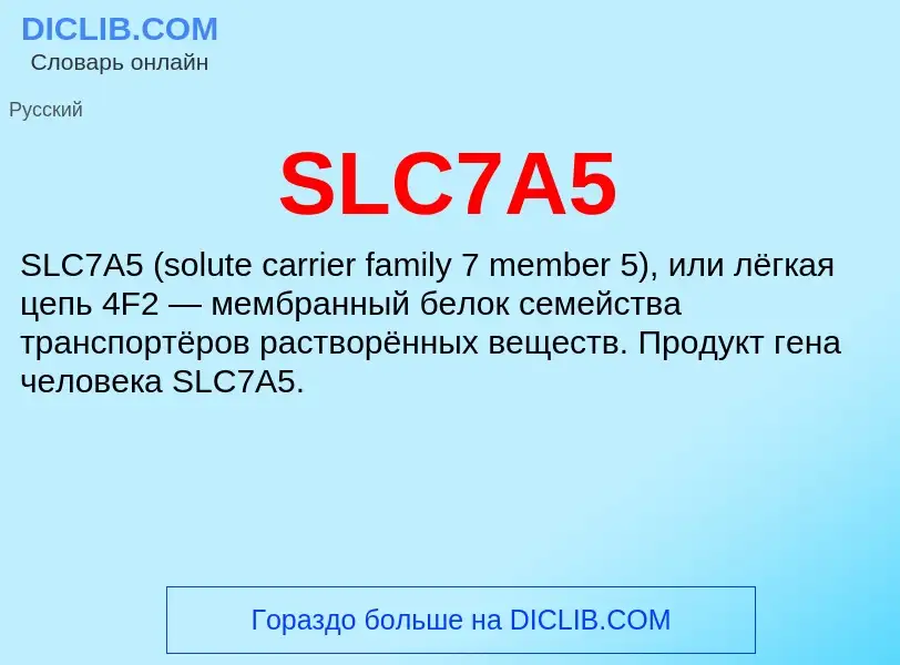 Что такое SLC7A5 - определение