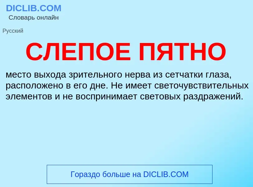 O que é СЛЕПОЕ ПЯТНО - definição, significado, conceito