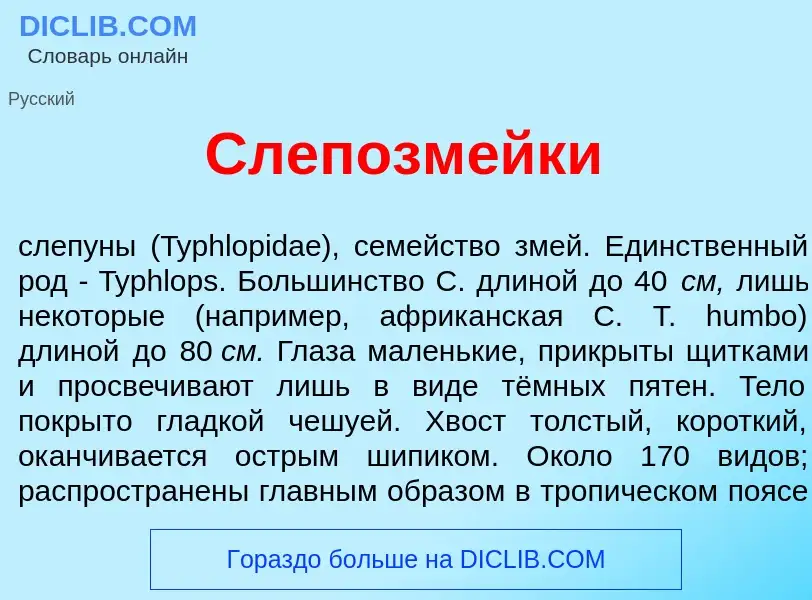 Что такое Слепозм<font color="red">е</font>йки - определение