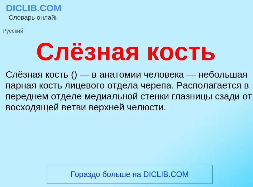 ¿Qué es Слёзная кость? - significado y definición