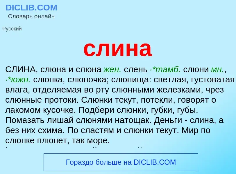 Что такое слина - определение