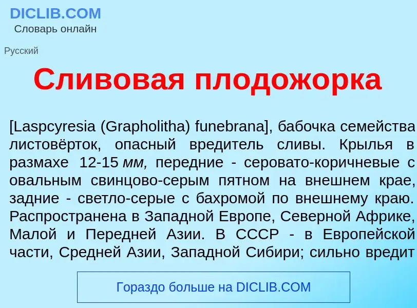 Что такое Сл<font color="red">и</font>вовая плодож<font color="red">о</font>рка - определение