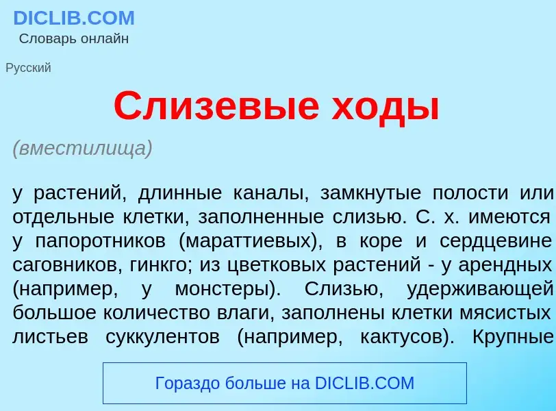 Что такое Слизев<font color="red">ы</font>е х<font color="red">о</font>ды - определение