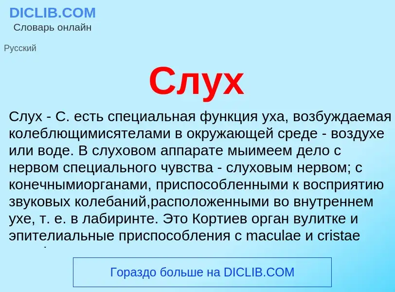 Wat is Слух - definition