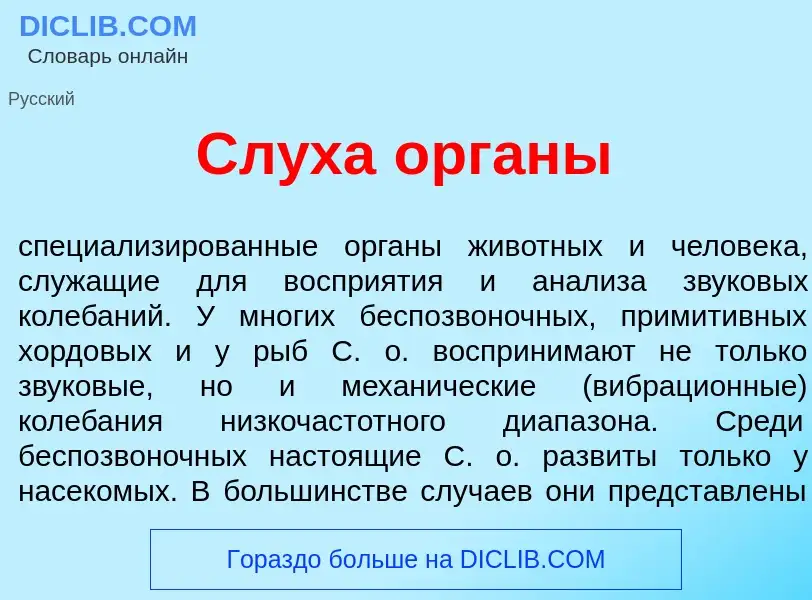 Che cos'è Сл<font color="red">у</font>ха <font color="red">о</font>рганы - definizione