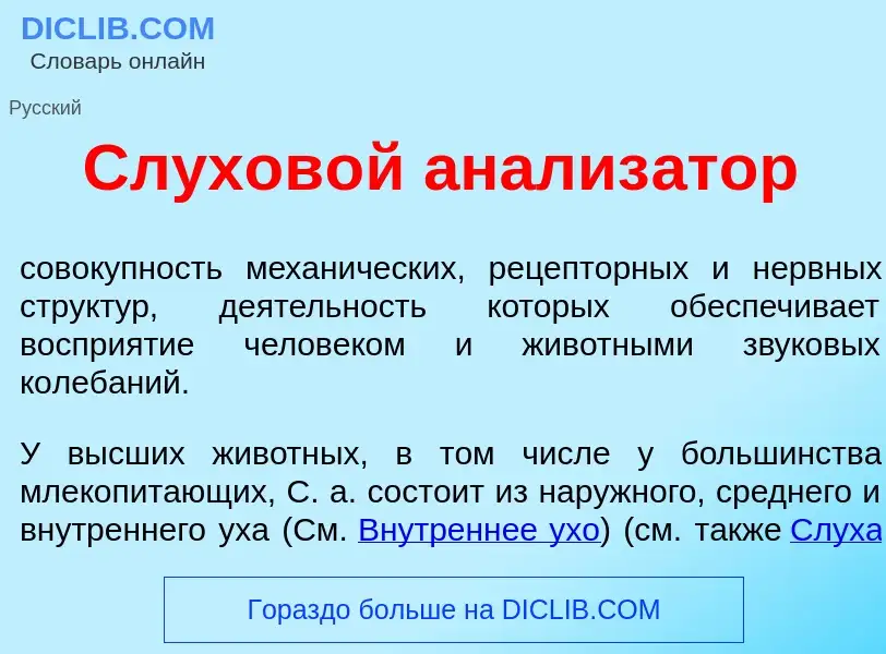 What is Слухов<font color="red">о</font>й анализ<font color="red">а</font>тор - meaning and definiti