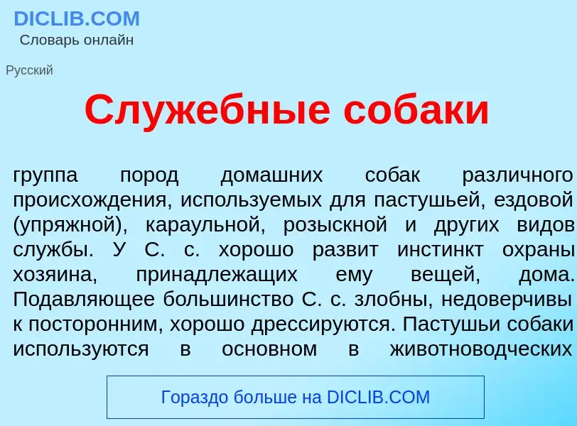 O que é Служ<font color="red">е</font>бные соб<font color="red">а</font>ки - definição, significado,