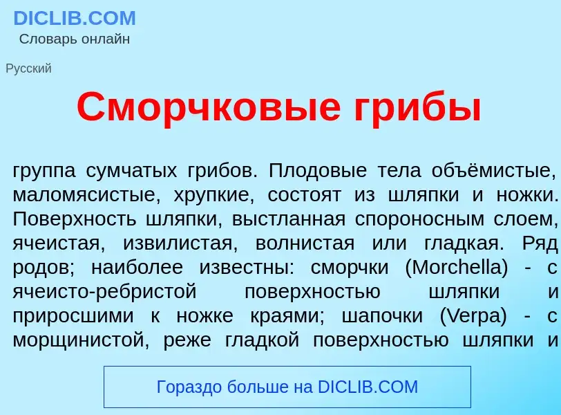 Che cos'è Сморчк<font color="red">о</font>вые гриб<font color="red">ы</font> - definizione